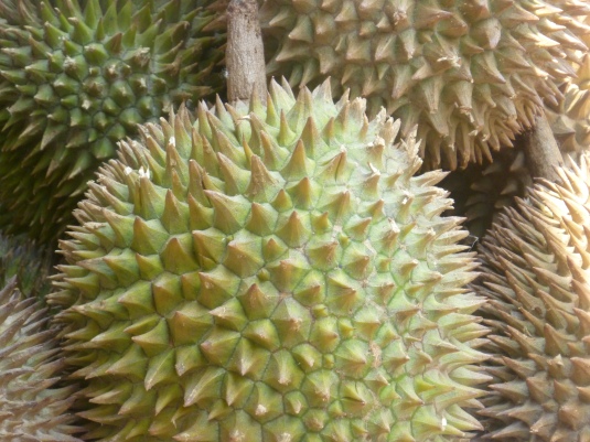And a Durian; the King of Fruits...